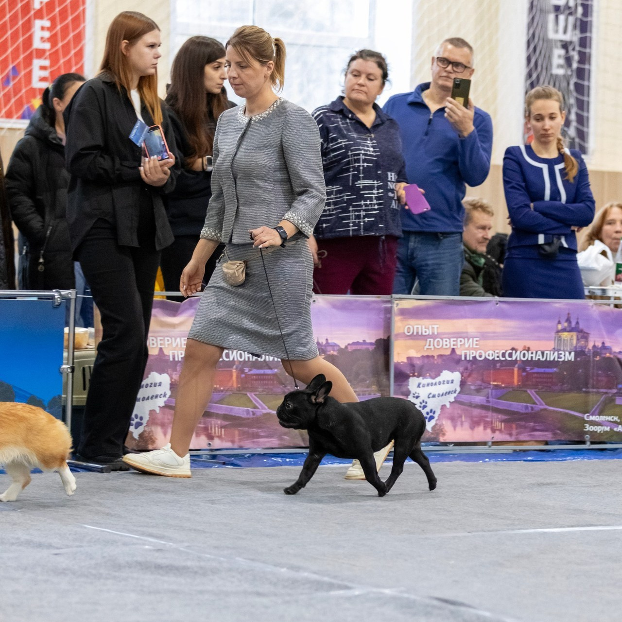 Отзывы. Фотограф — анималист Татьяна Ли