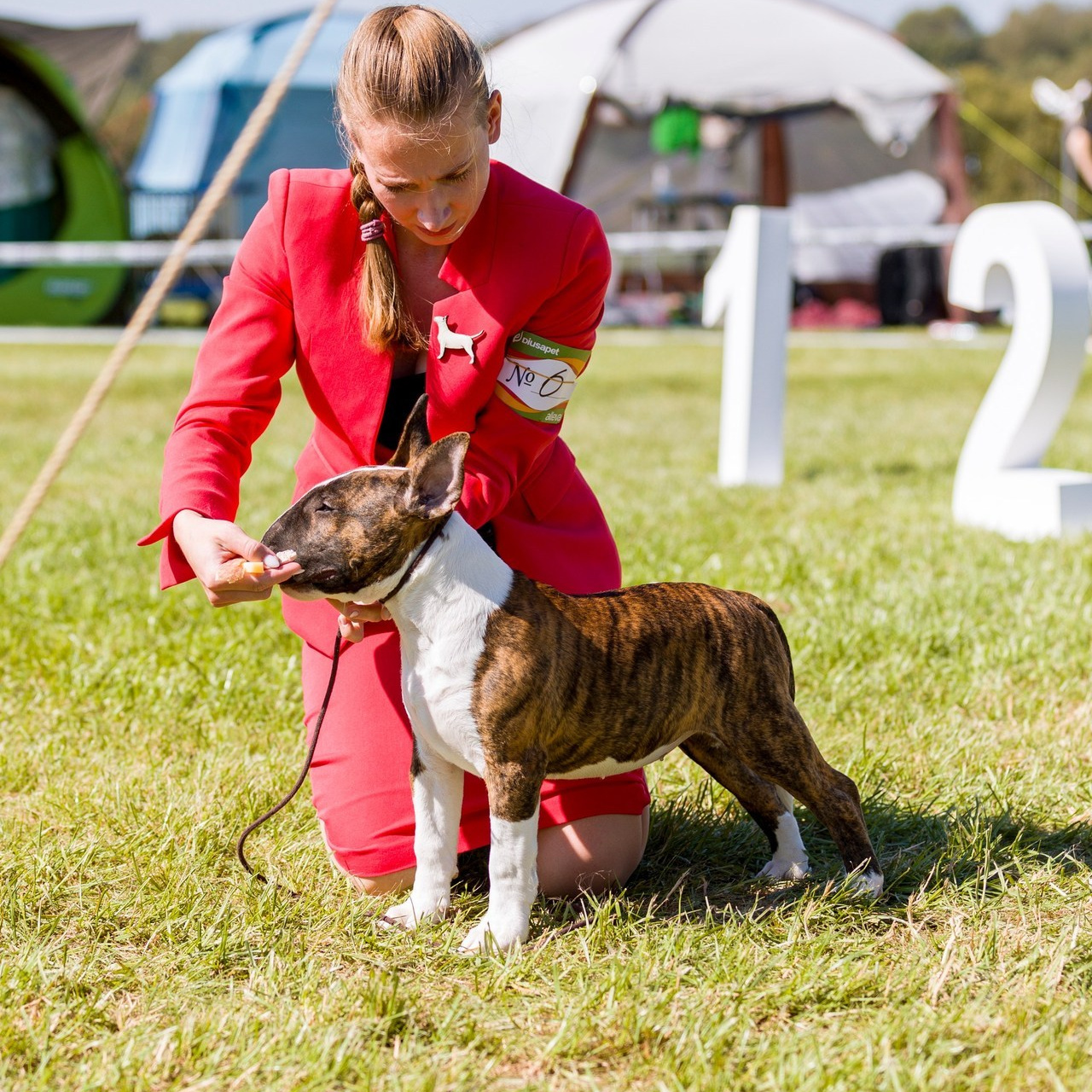 Отзывы. Фотограф — анималист Татьяна Ли