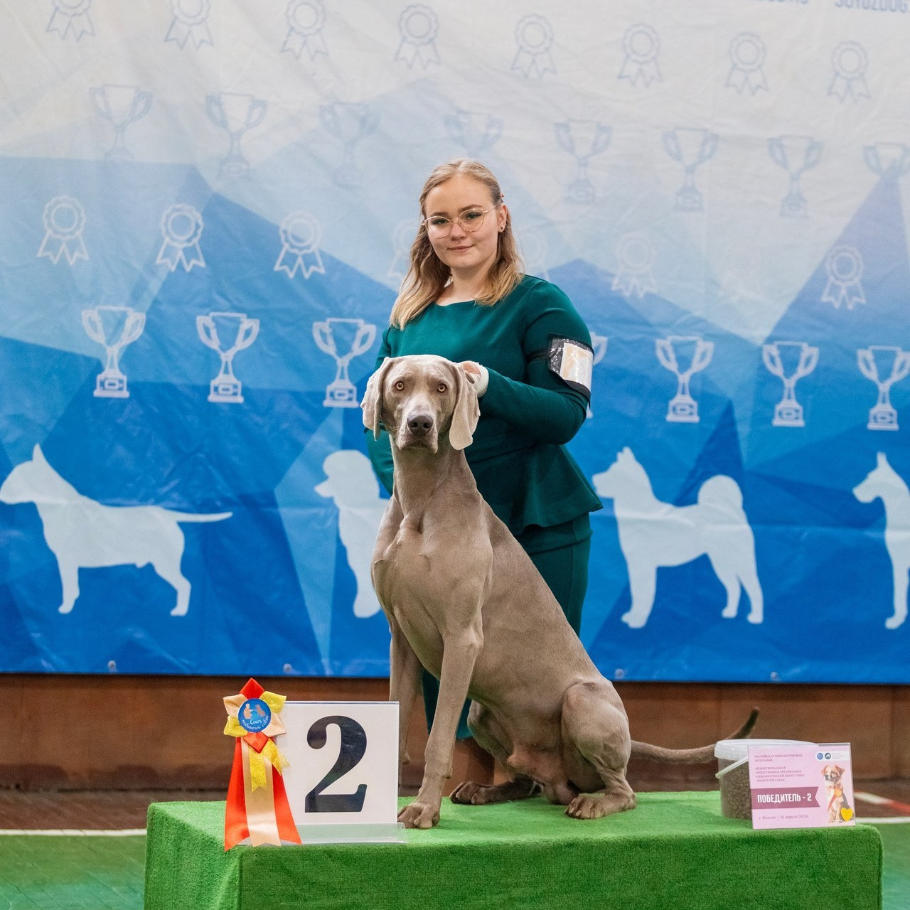 Отзывы. Фотограф — анималист Татьяна Ли