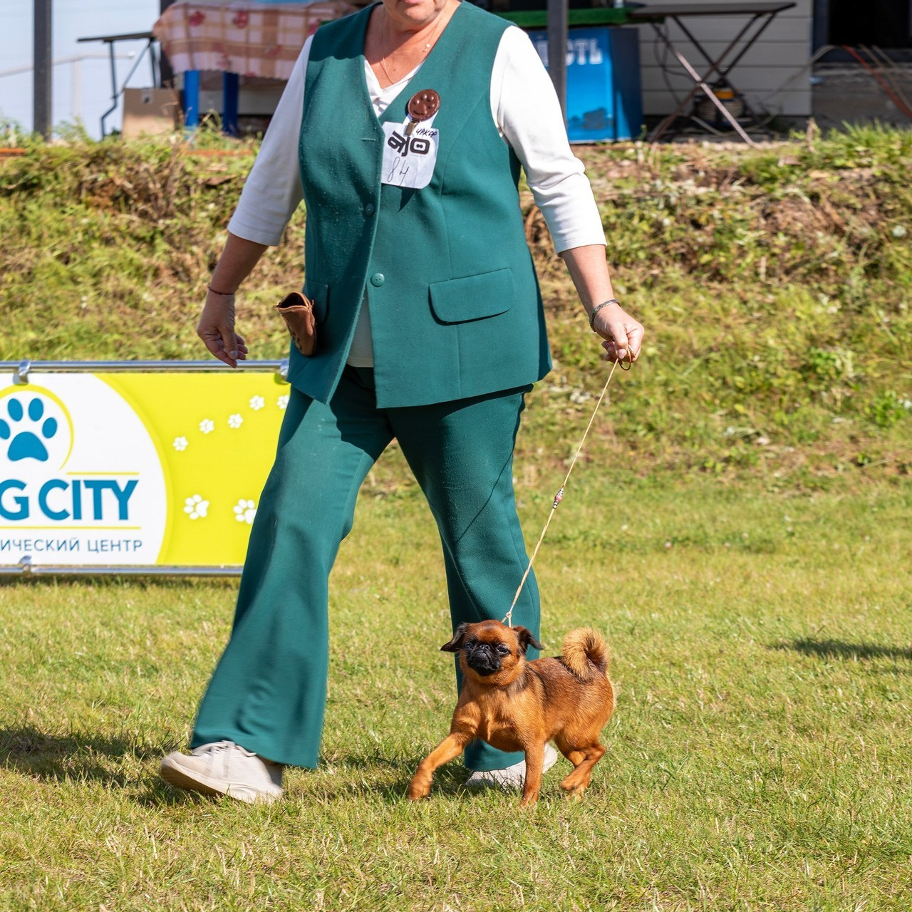 Отзывы. Фотограф — анималист Татьяна Ли