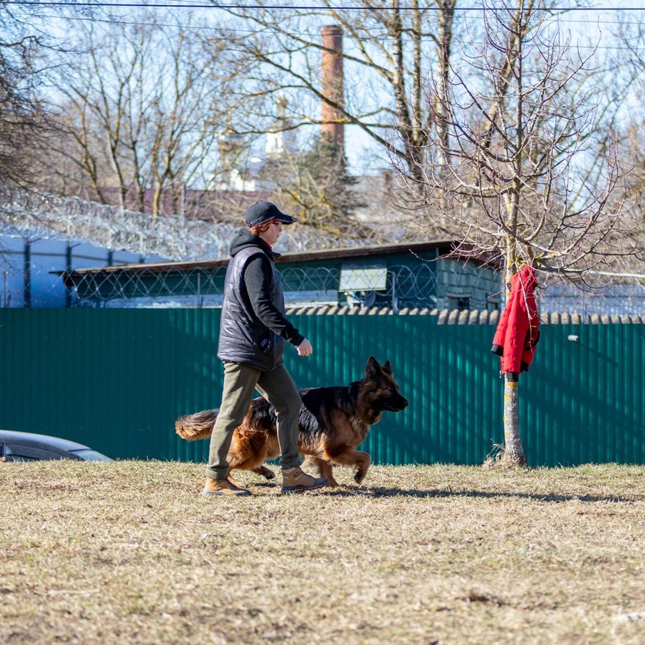 Отзывы. Фотограф — анималист Татьяна Ли
