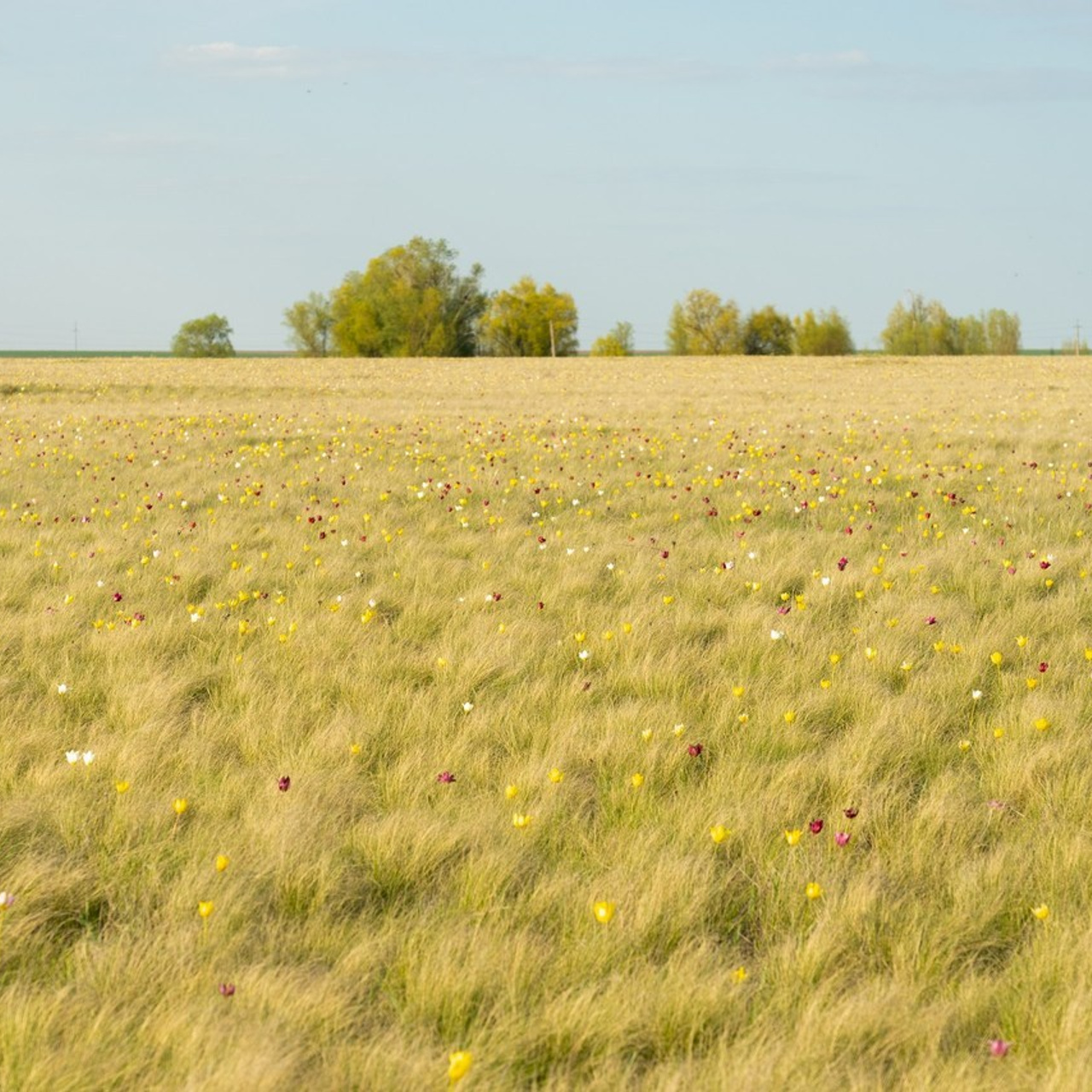 Отзывы. Фотограф Саратов/Энгельс