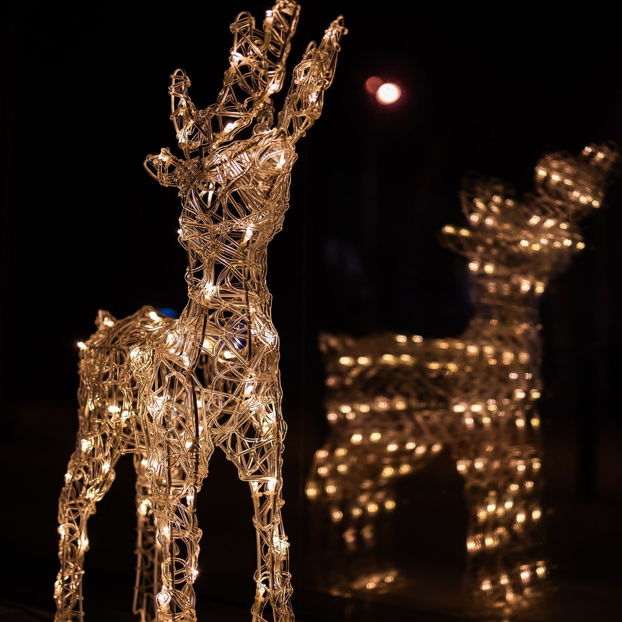 Отзывы. Репортажный и свадебный фотограф в Самаре Гайер Владимир