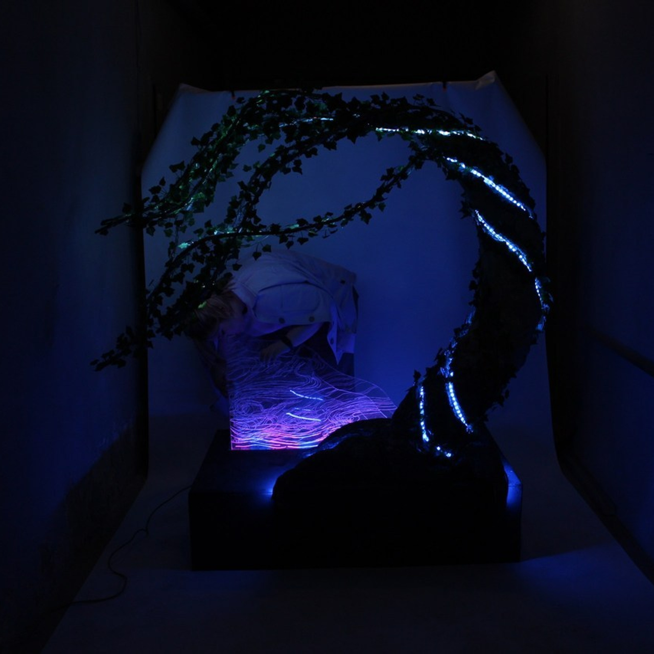 Отзывы. Начинающий Фотограф в Казани