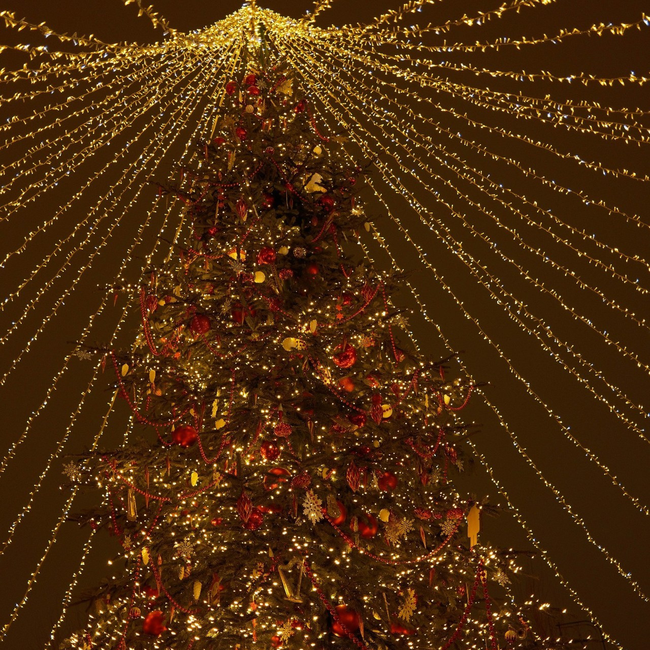 Отзывы. Детский и семейный фотограф в Твери Ольга Крестьянинова