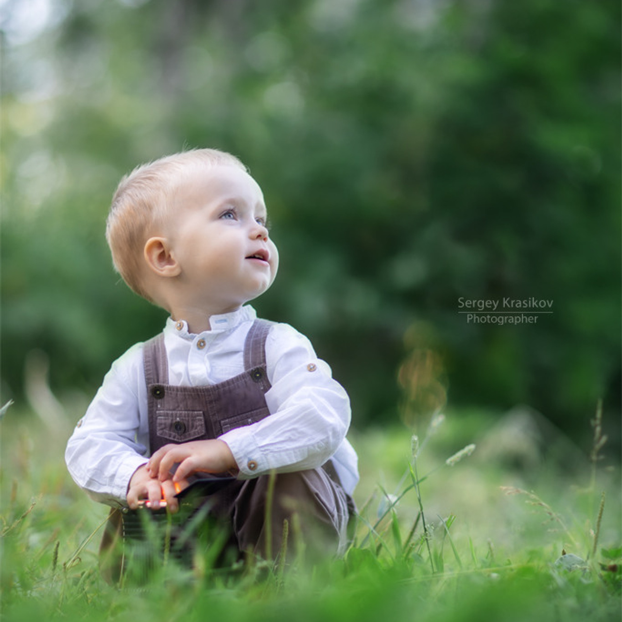 Отзывы репортажный фотограф Сергей Красиков. Репортажный фотограф Сергей Красиков, Санкт-Петербург