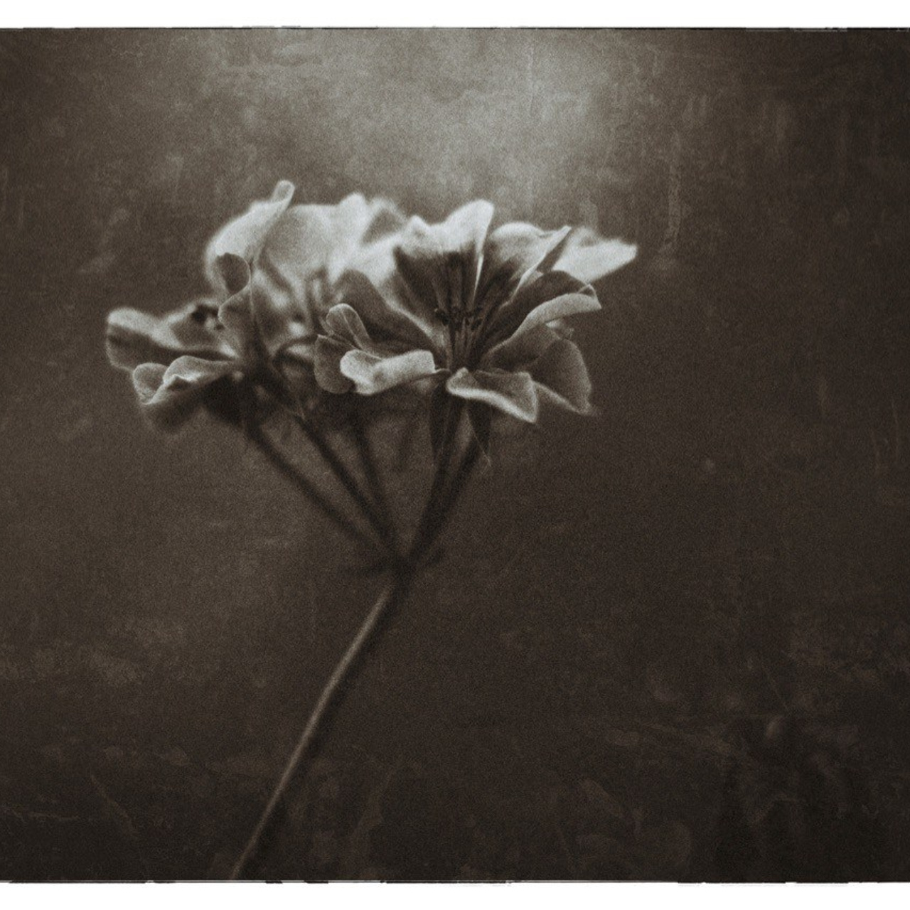 Арт-Исскуство