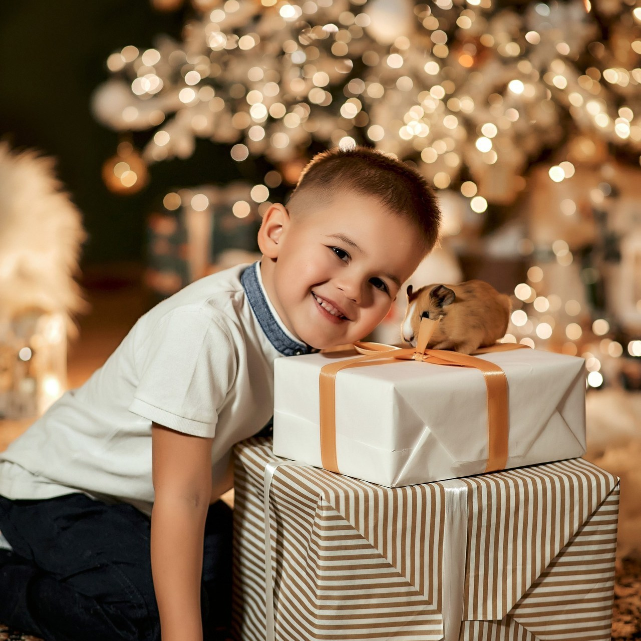 Отзывы. Фотограф Пустошка и Псковская область (Себеж, Великие Луки, Опочка и др.)