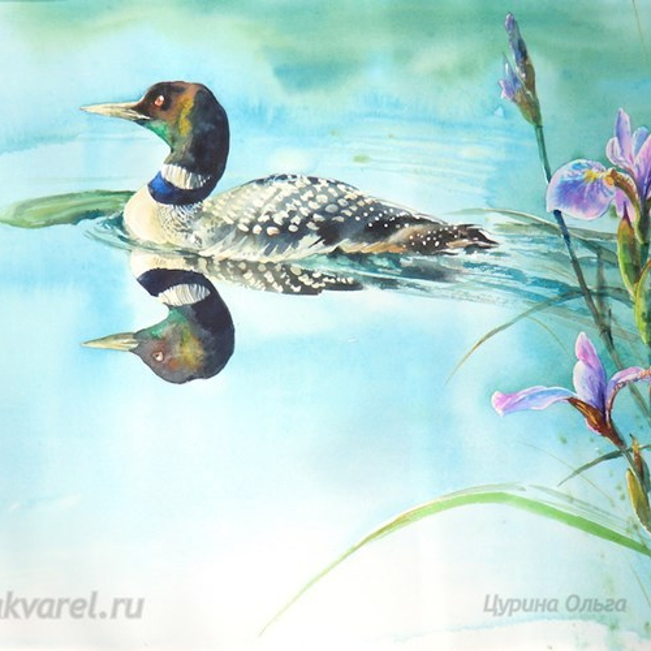 У&nbsp;ВОДЫ. Птицы озер и&nbsp;болот&nbsp;— журавли, утки, чомги, гагары… и&nbsp;рыбки