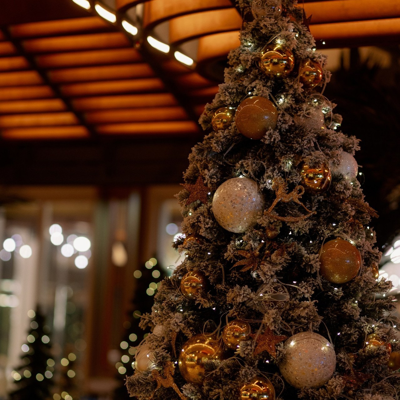 Отзывы. Фотограф Serj Ganso