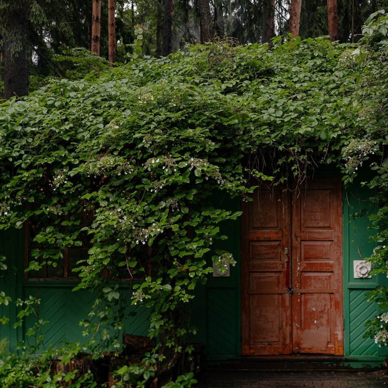 Отзывы. Фотограф Serj Ganso