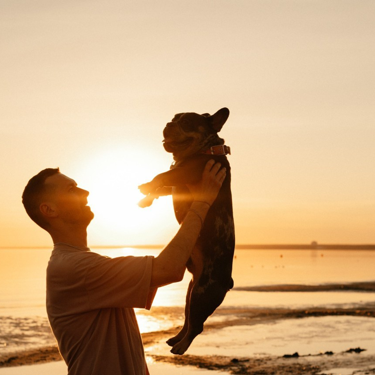 Отзывы. Фотограф анималист в Москве Ольга Агушева