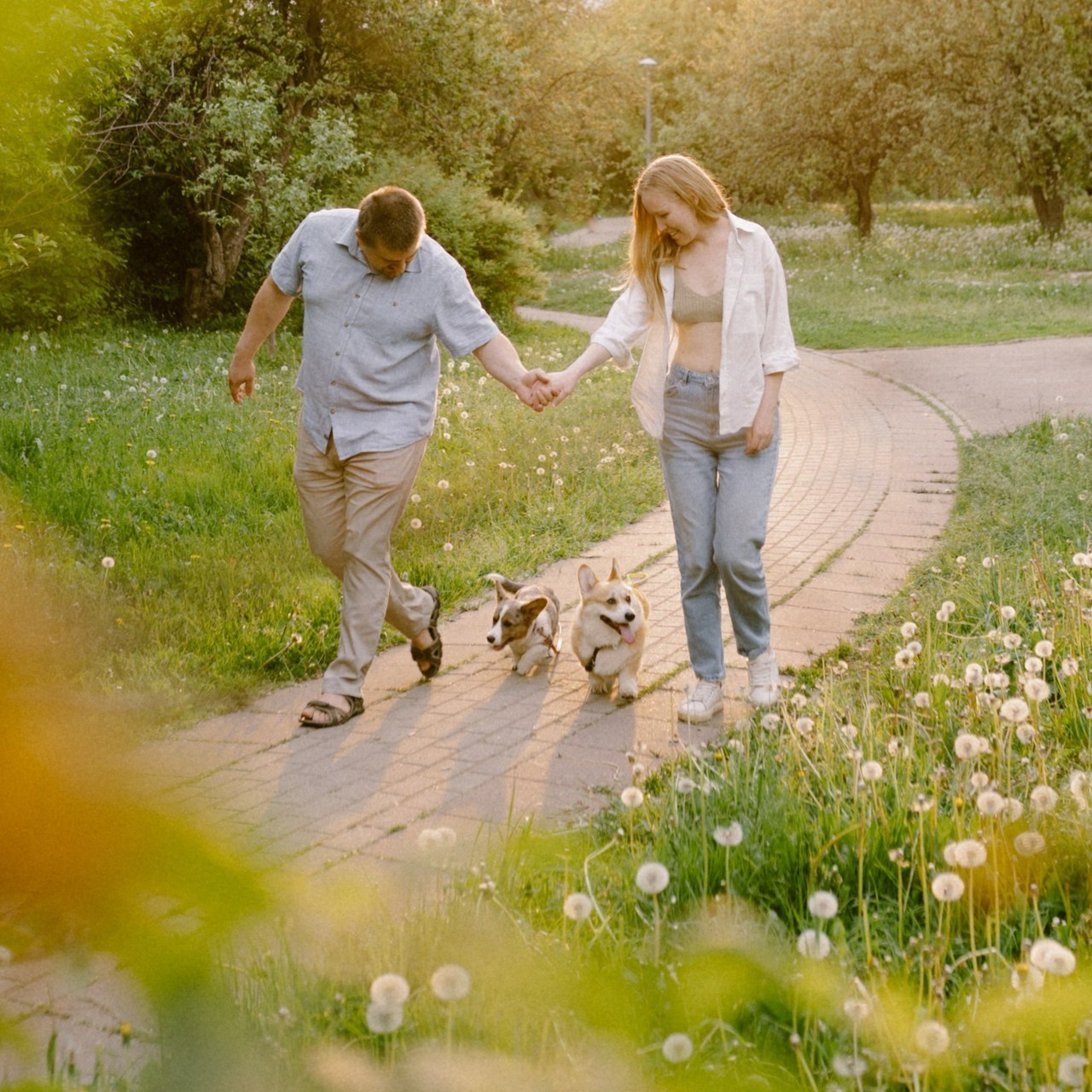 Отзывы. Фотограф анималист в Москве Ольга Агушева