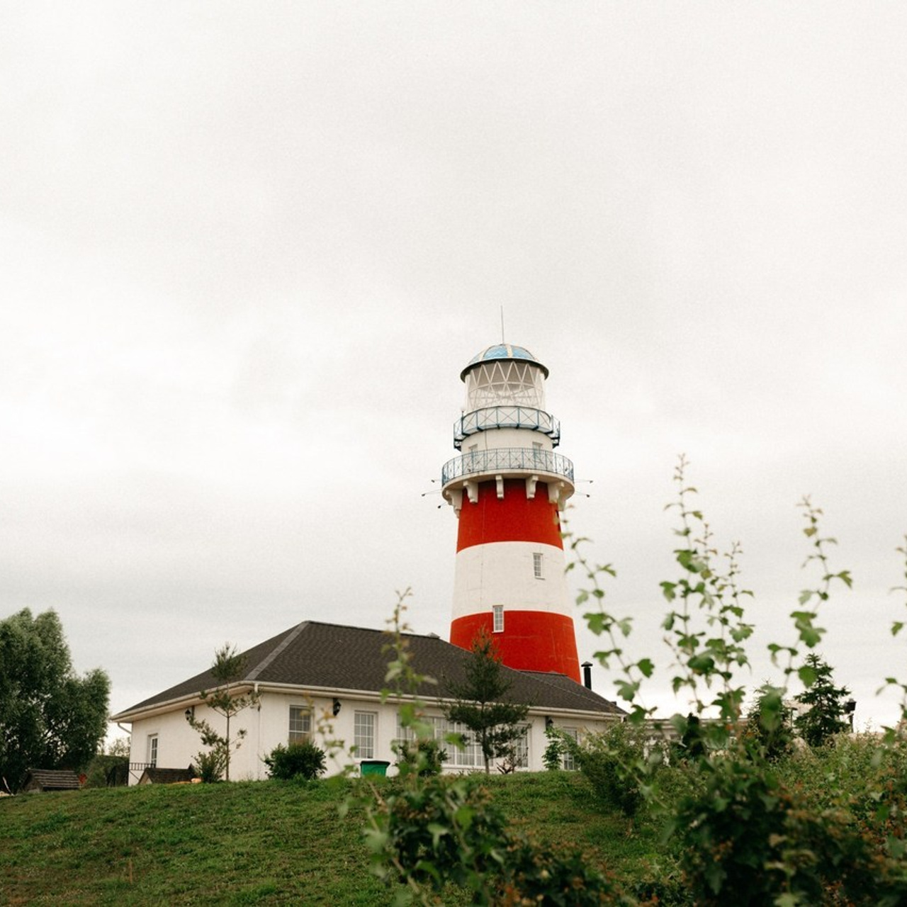 Отзывы. Фотограф анималист в Москве Ольга Агушева