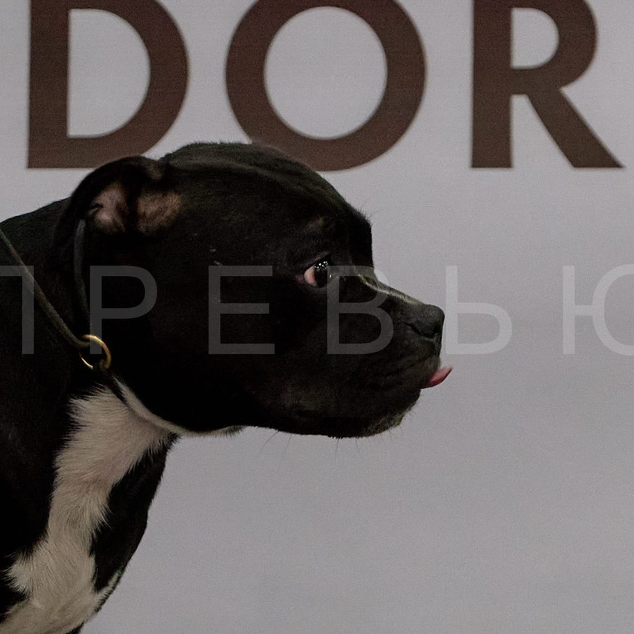 Отзывы. Главная