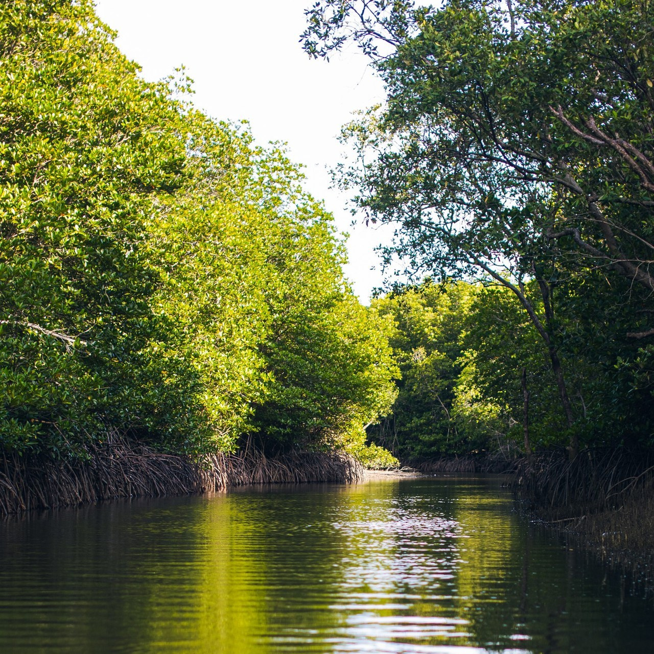 Отзывы. Семейный и художественный фотограф в Тюмени Юлия Логинова
