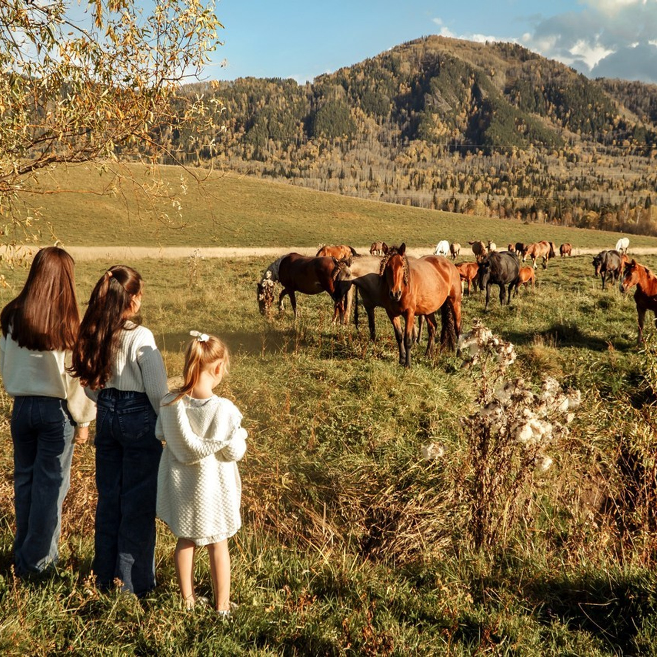 Отзывы. Фотограф Республика Алтай Степанова Кристина