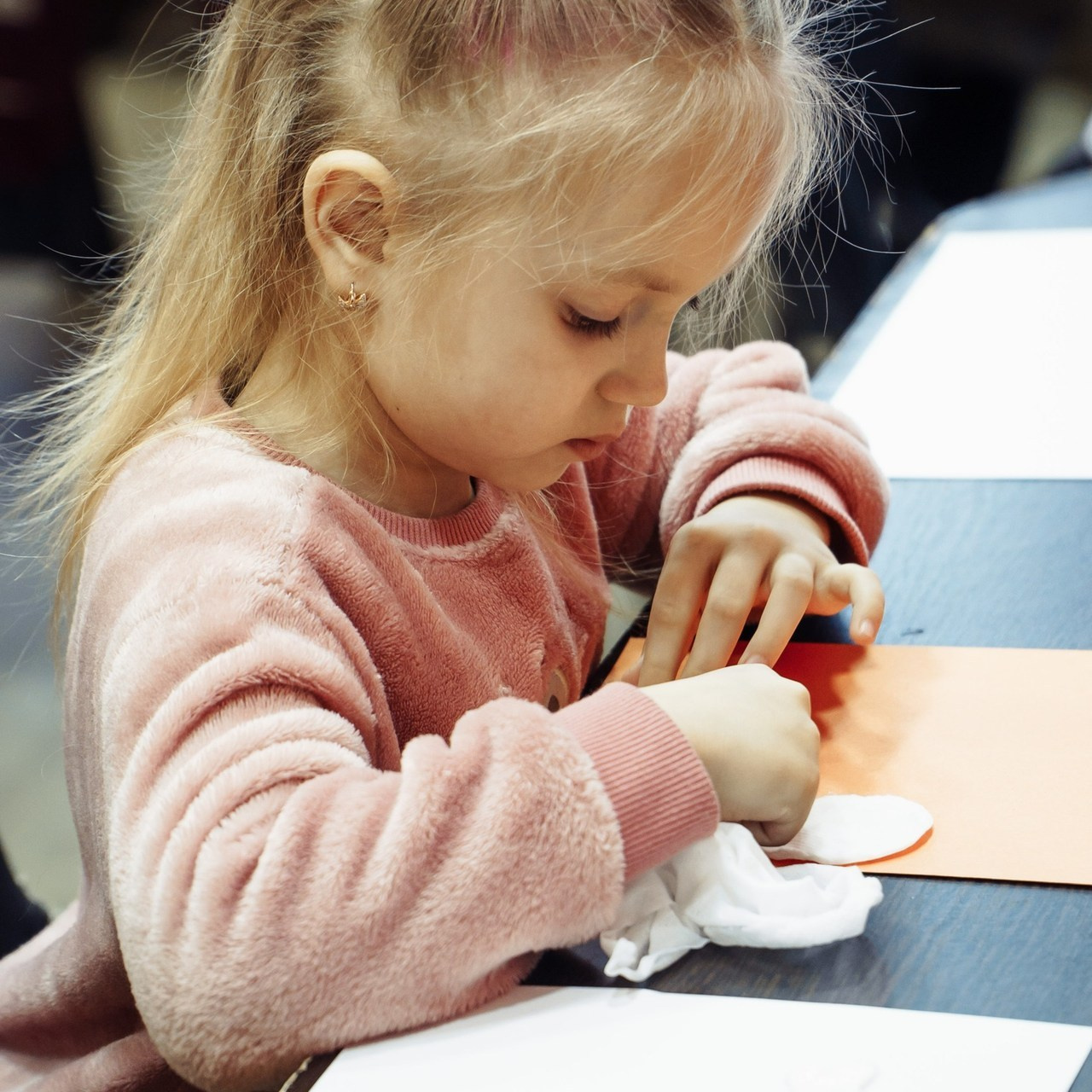 Отзывы. Фотограф Республика Алтай Степанова Кристина