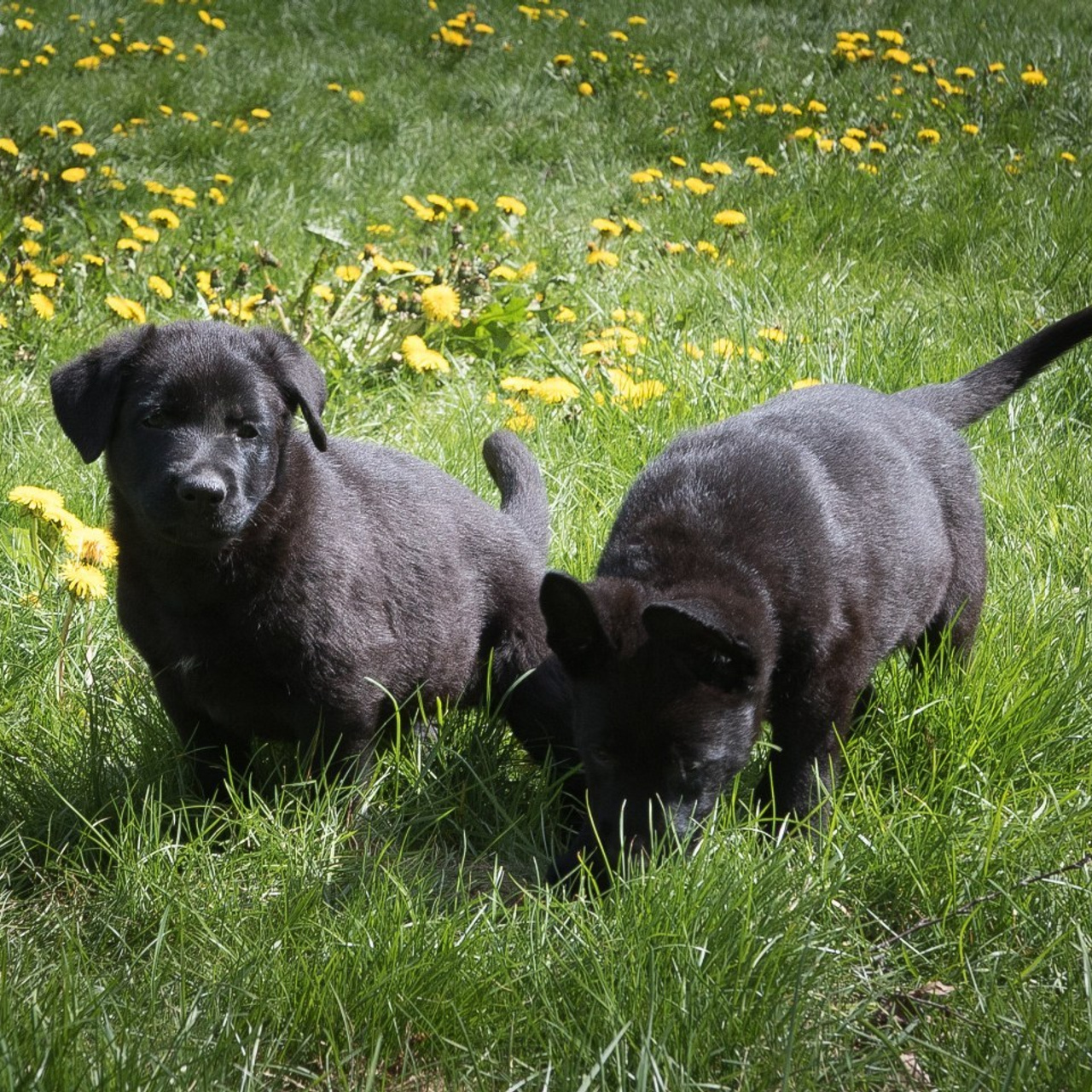 Отзывы. Школьный и детский фотограф в Москве Федосеева Ольга