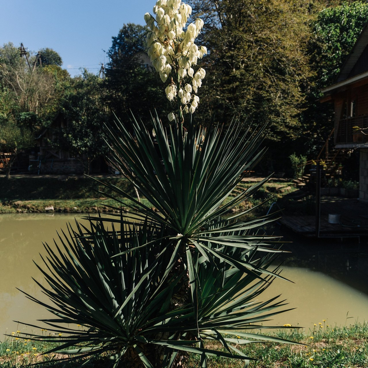 Отзывы. OleinikovPhoto