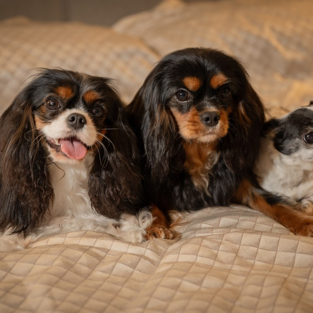 Отзывы. Детский и семейный фотограф в Санкт-Петербурге и Ярославле Павлова Гал