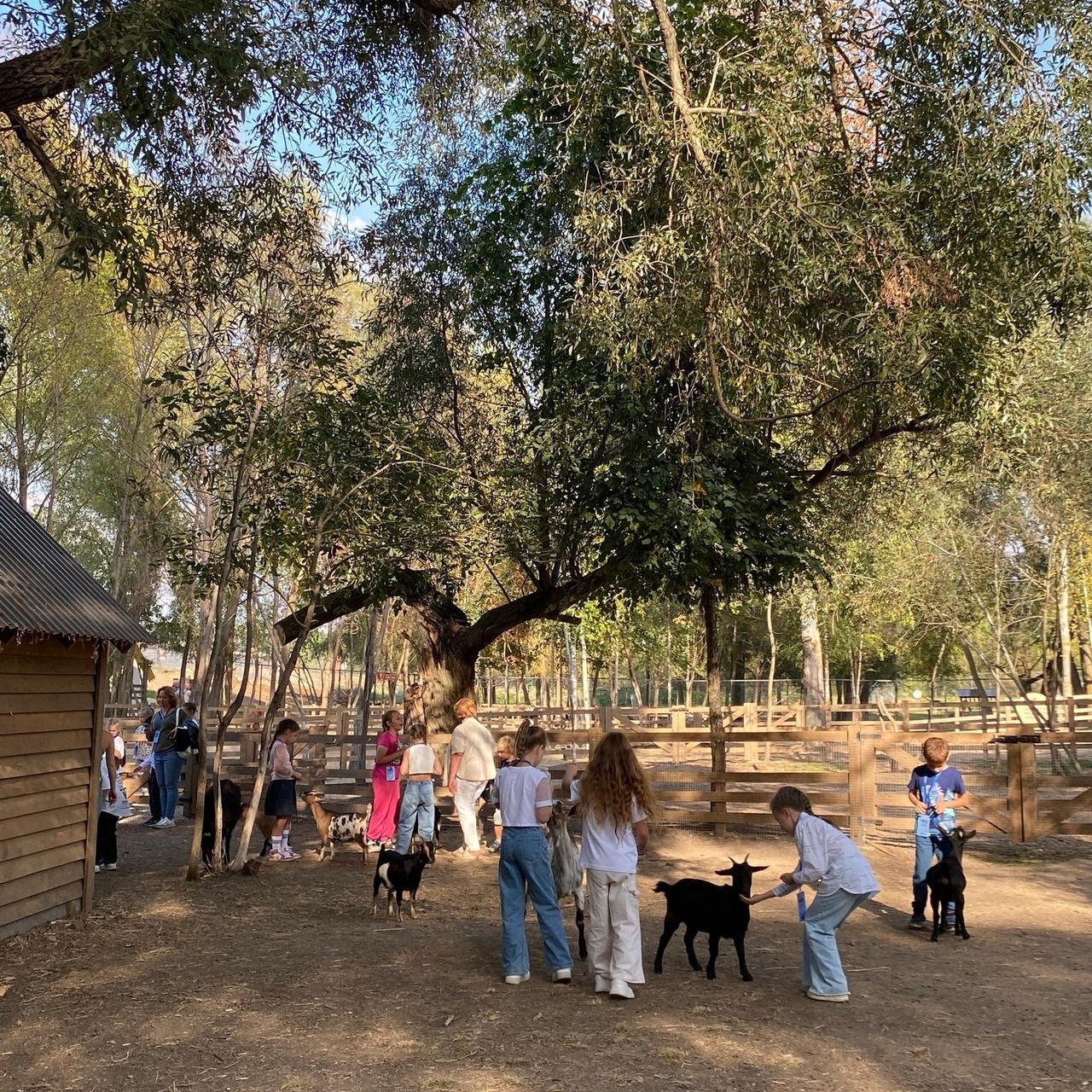Отзывы. Семейный фотограф в Казани Александра Киселева