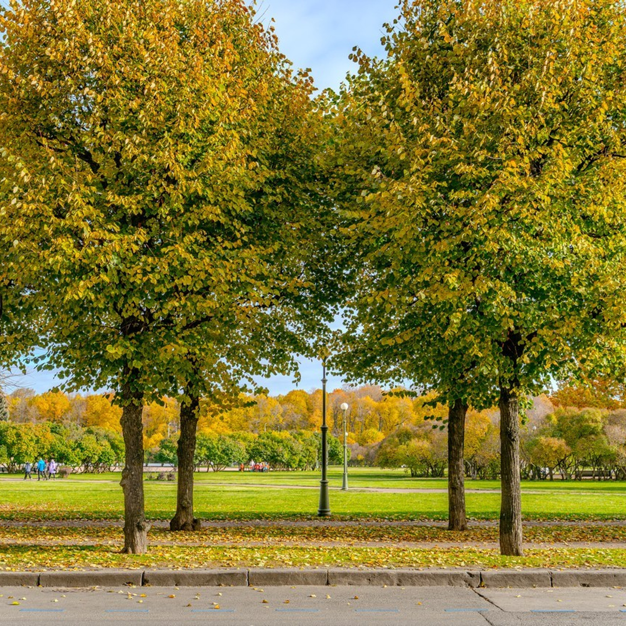 Портретный и интерьерный фотограф в Санкт-Петербурге. Портретный и интерьерный фотограф Илья Орлов