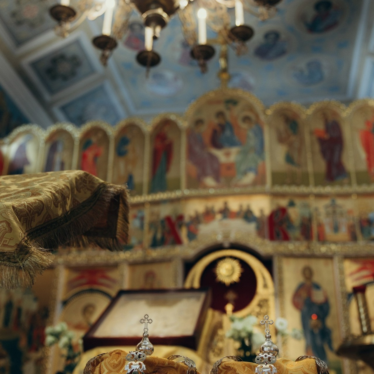 Отзывы. Алена Борисова фотограф в Ставрополе