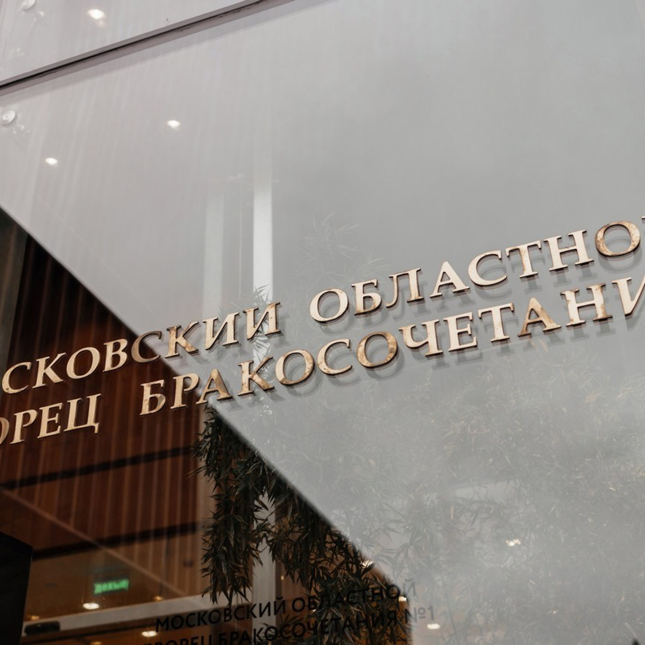 Отзывы. Свадебный фотограф москва