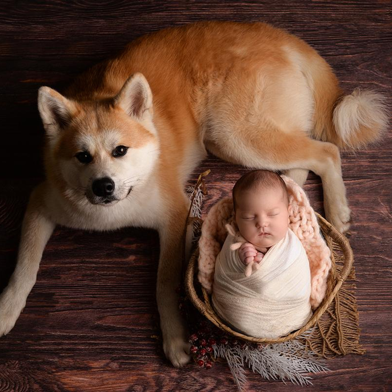 Фотограф новорожденных в Москве Воробьева Юлия