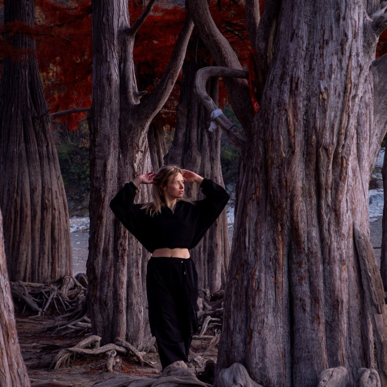 Настя — Сукко