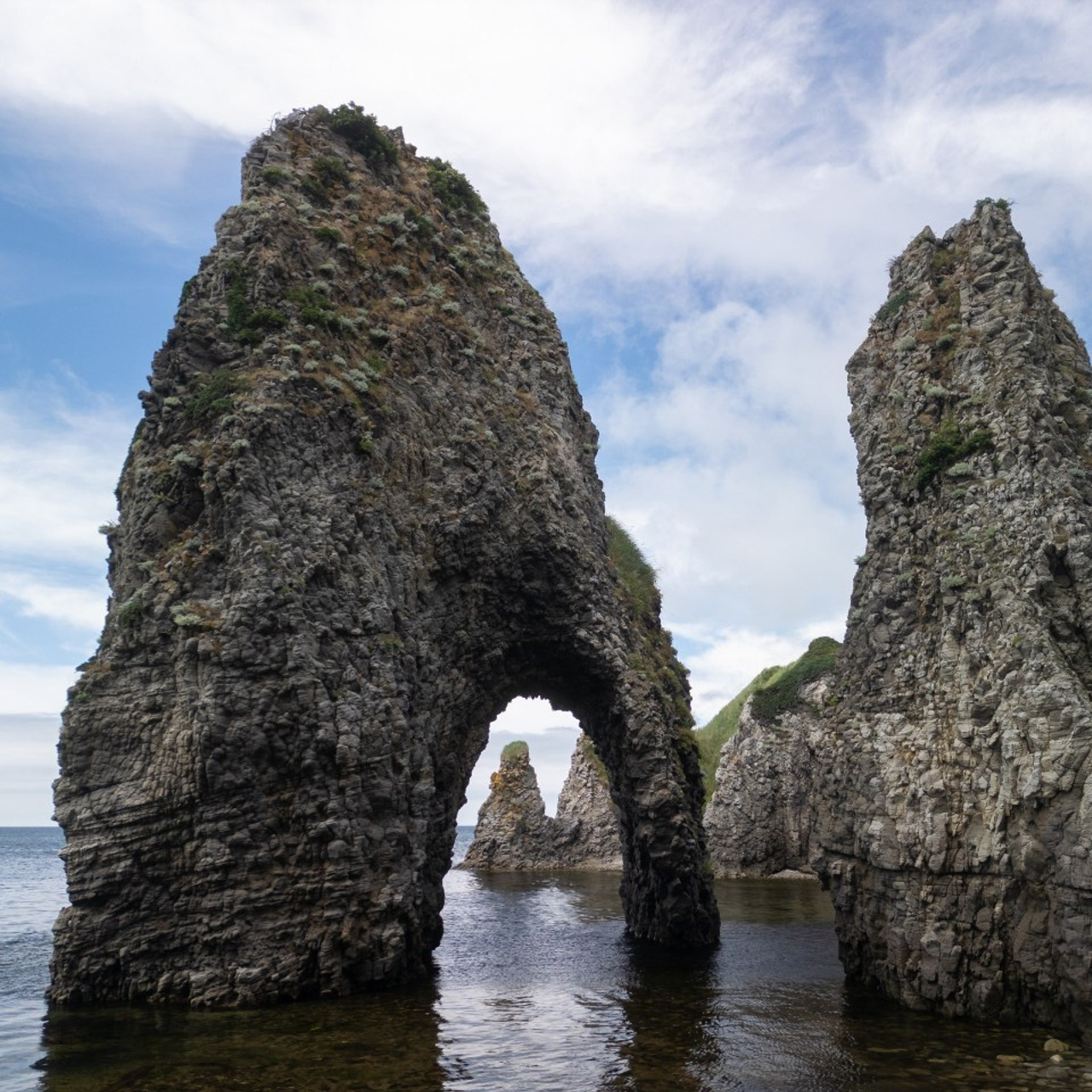 Отзывы. Фотограф Александр Головин