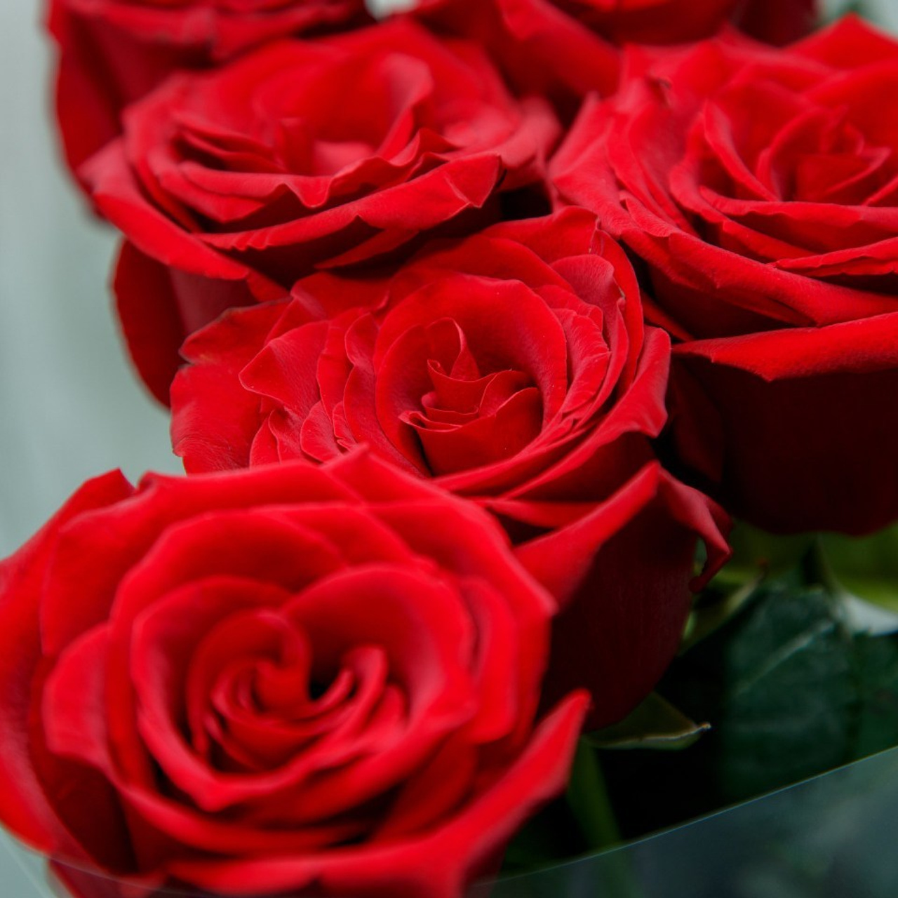 Отзывы. Ваш фотограф в Оренбурге Рощупкина Екатерина