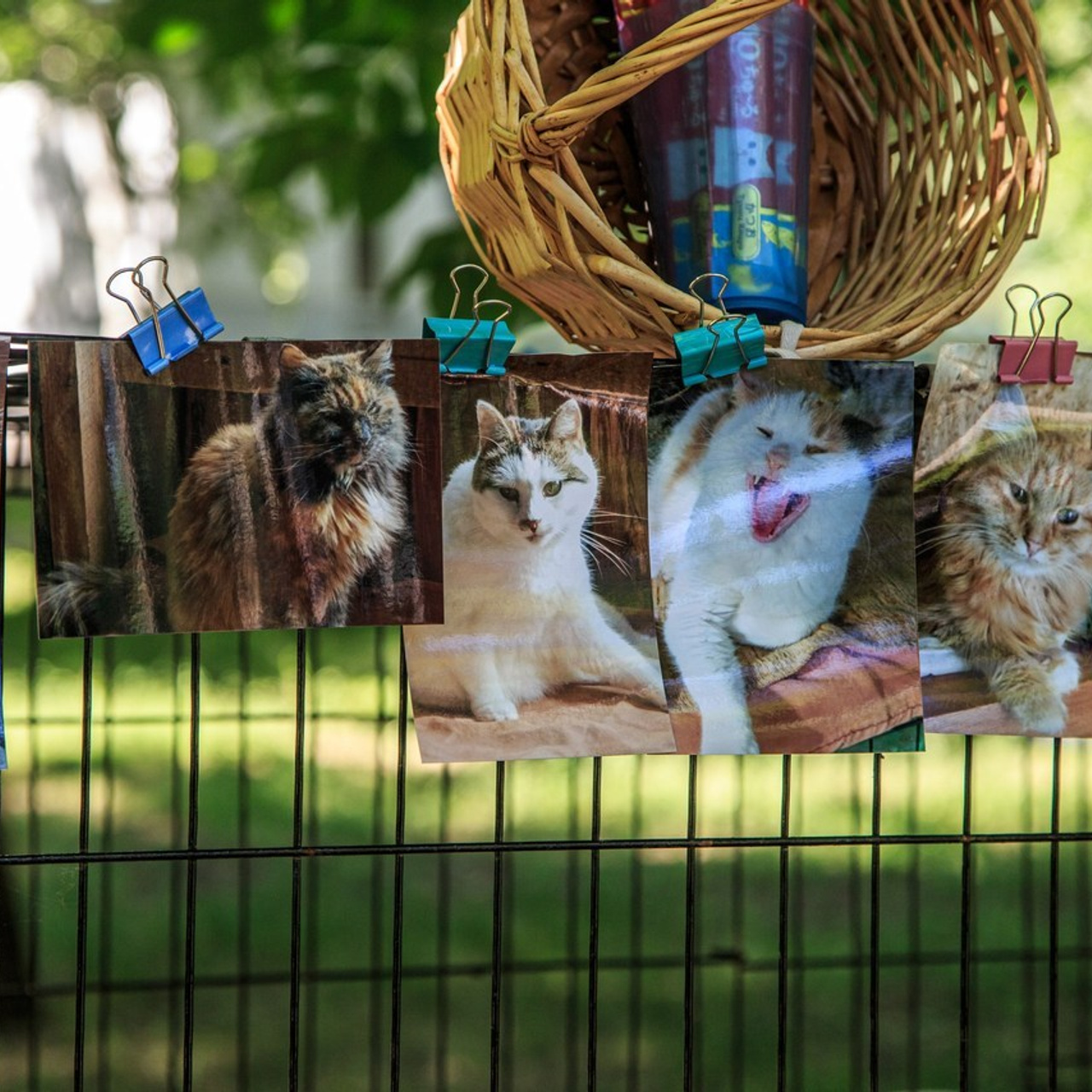Отзывы. Ваш фотограф в Оренбурге Рощупкина Екатерина