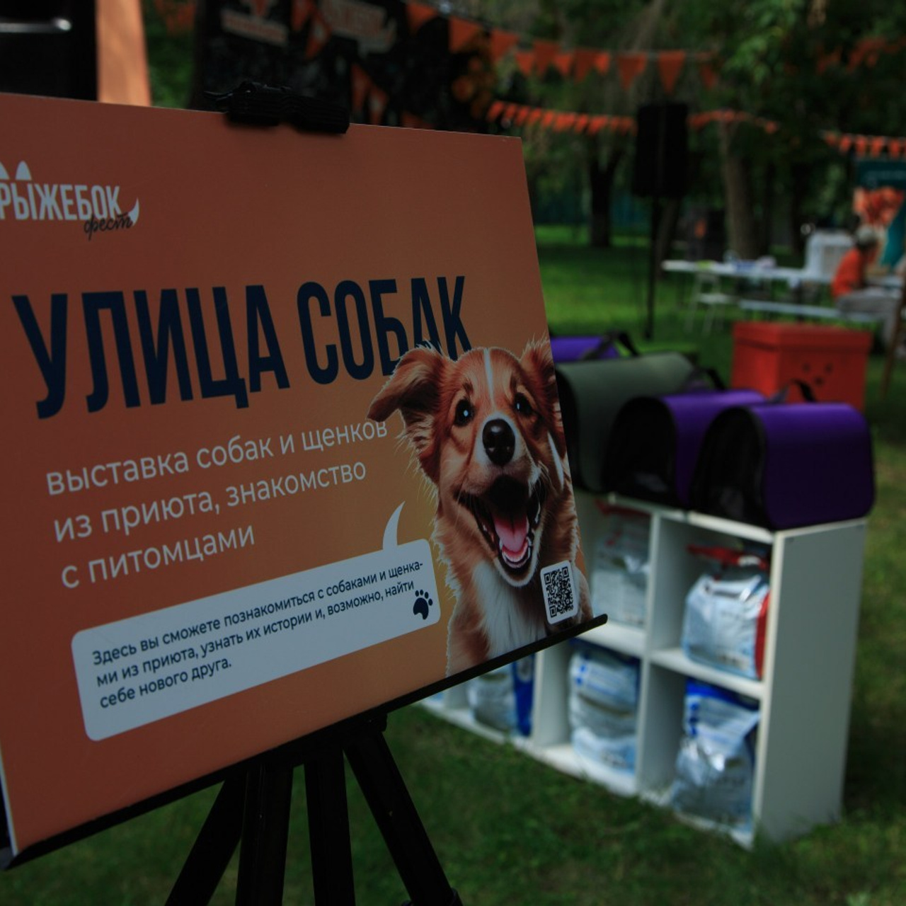 Отзывы. Ваш фотограф в Оренбурге Рощупкина Екатерина