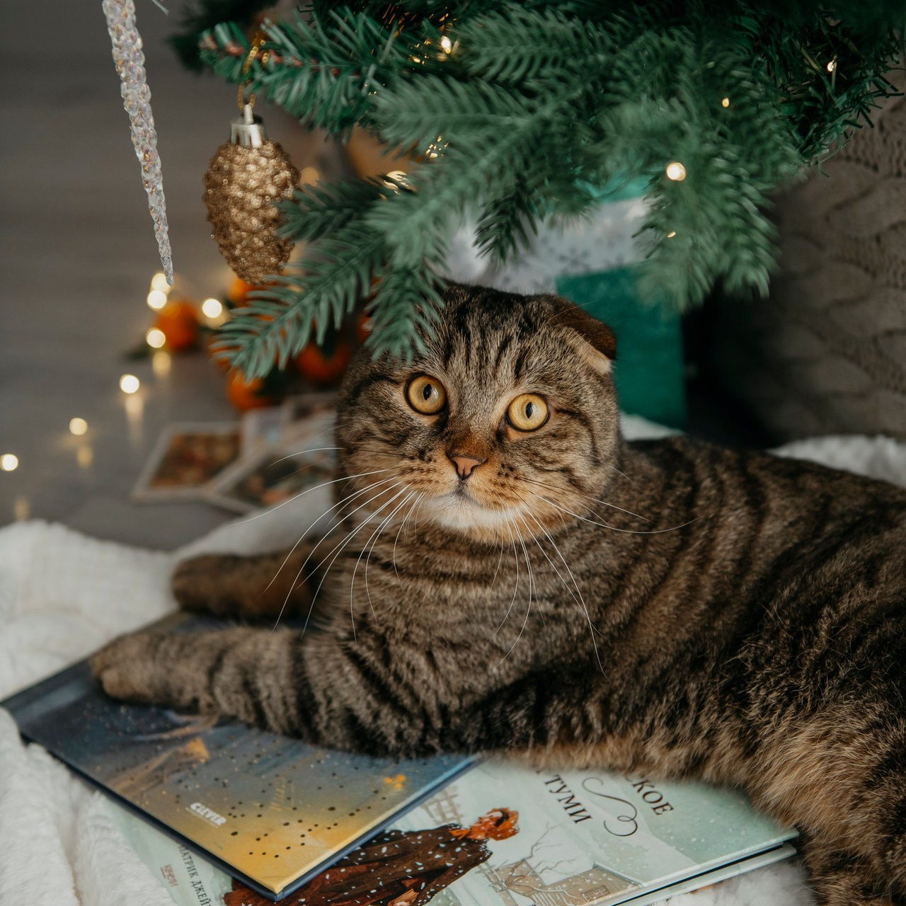 Отзывы. Фотограф Дарья Семина