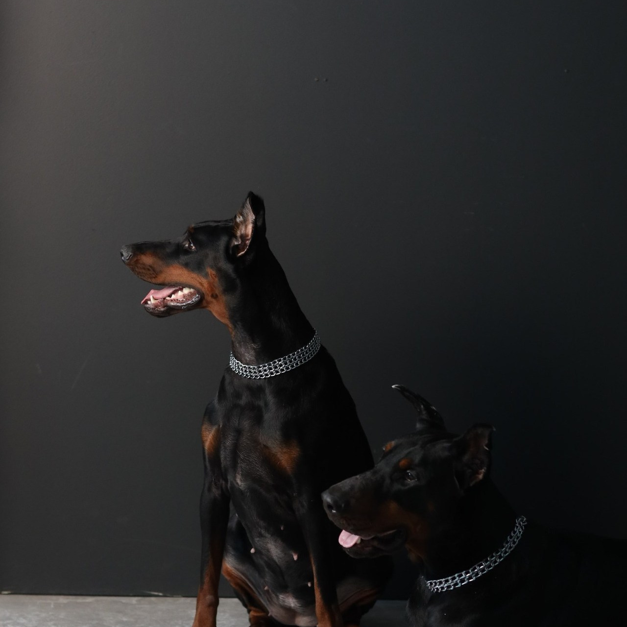 Отзывы. Индивидуальные фотосессии, фотограф в Сургуте Анна Водорацкова