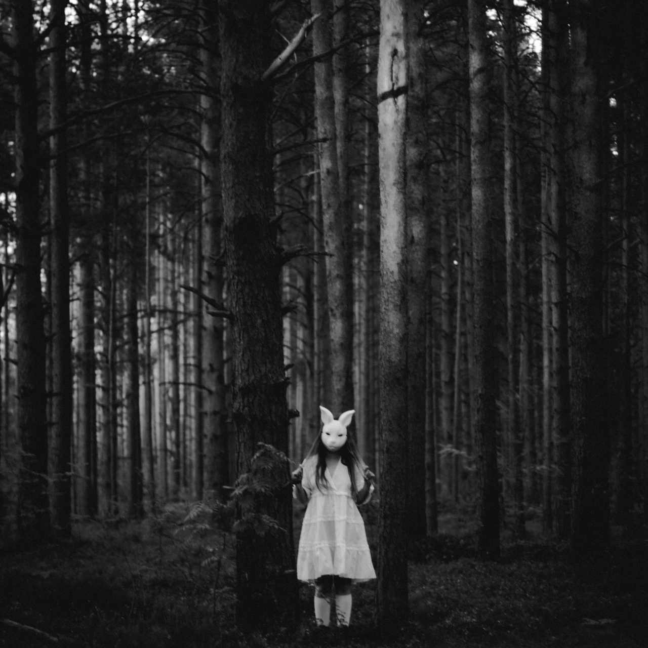 Отзывы. Портретный и уличный фотограф в Санкт-Петербурге Сергей Кутьин