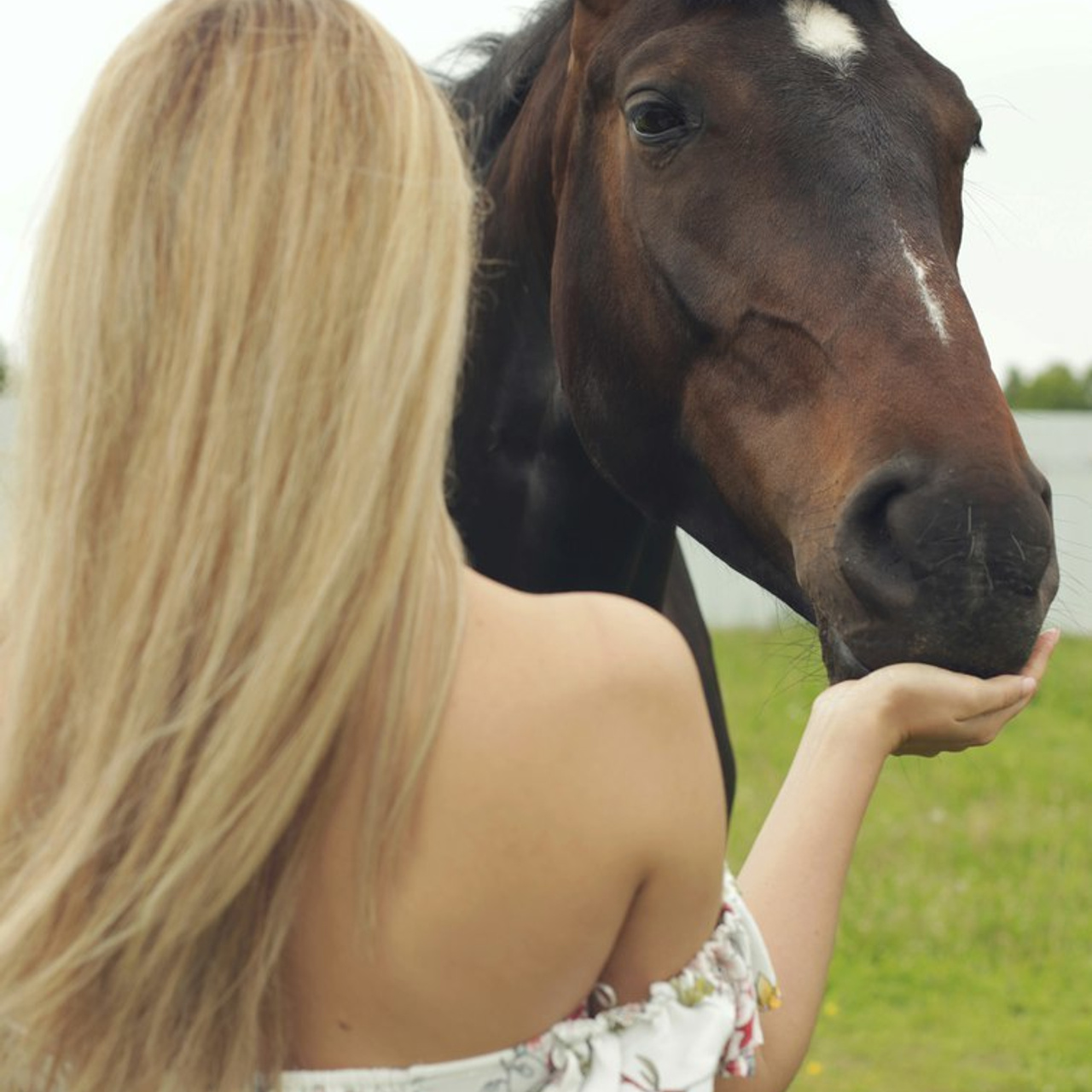 Отзывы от проделанной работе. Ваш семейный фотограф Евгения в г. Москва