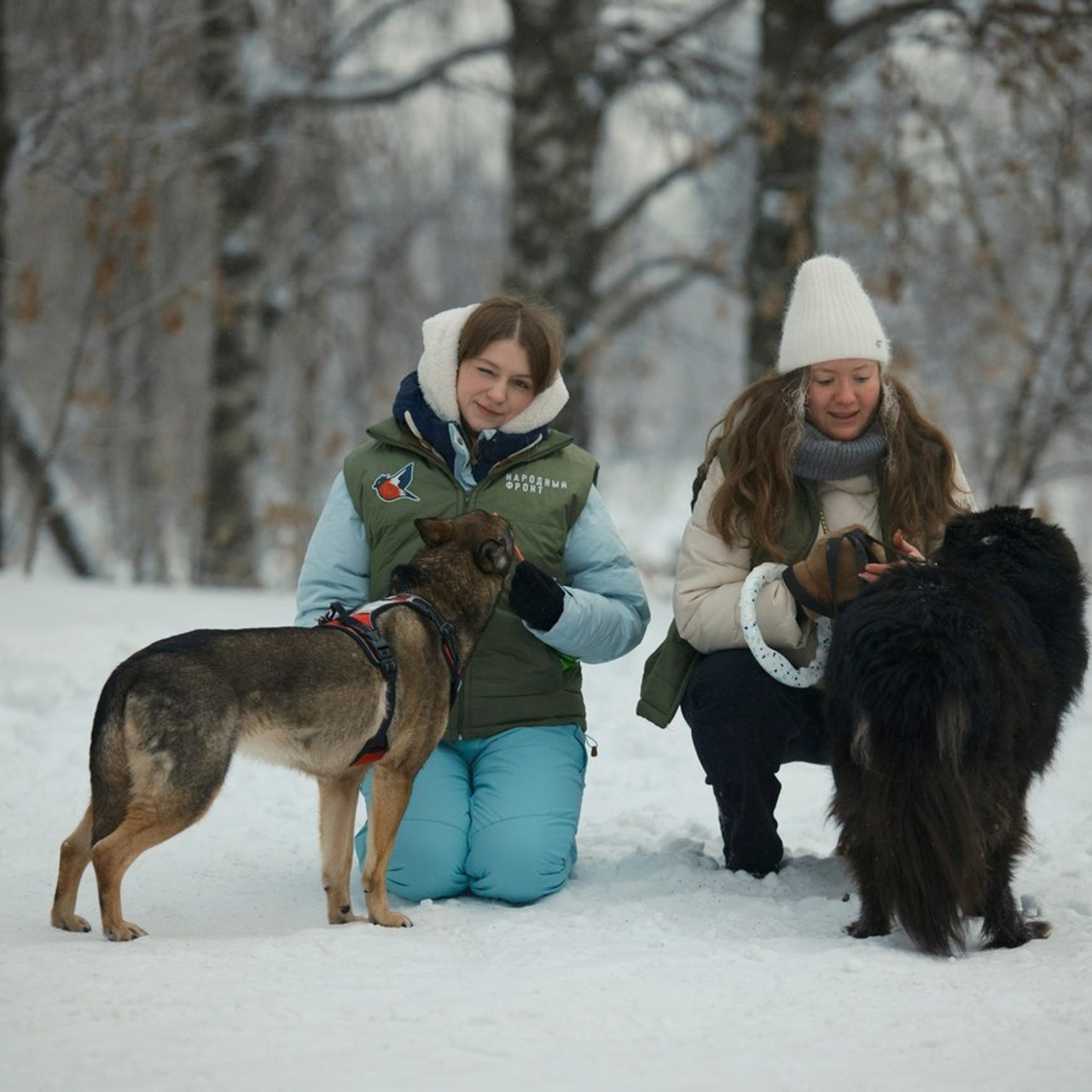Отзывы. RedGeek - блогер и стручњак за образовање и ИТ Кирил Ситнов