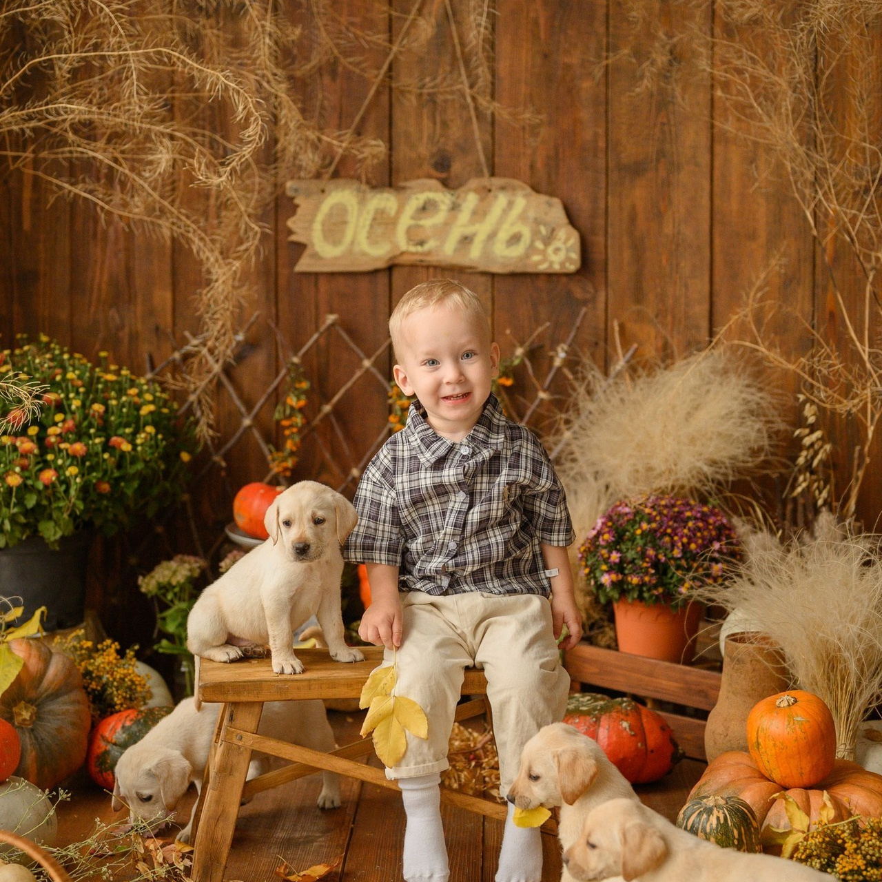 Отзывы. Детский и семейный фотограф Ирина Гладких