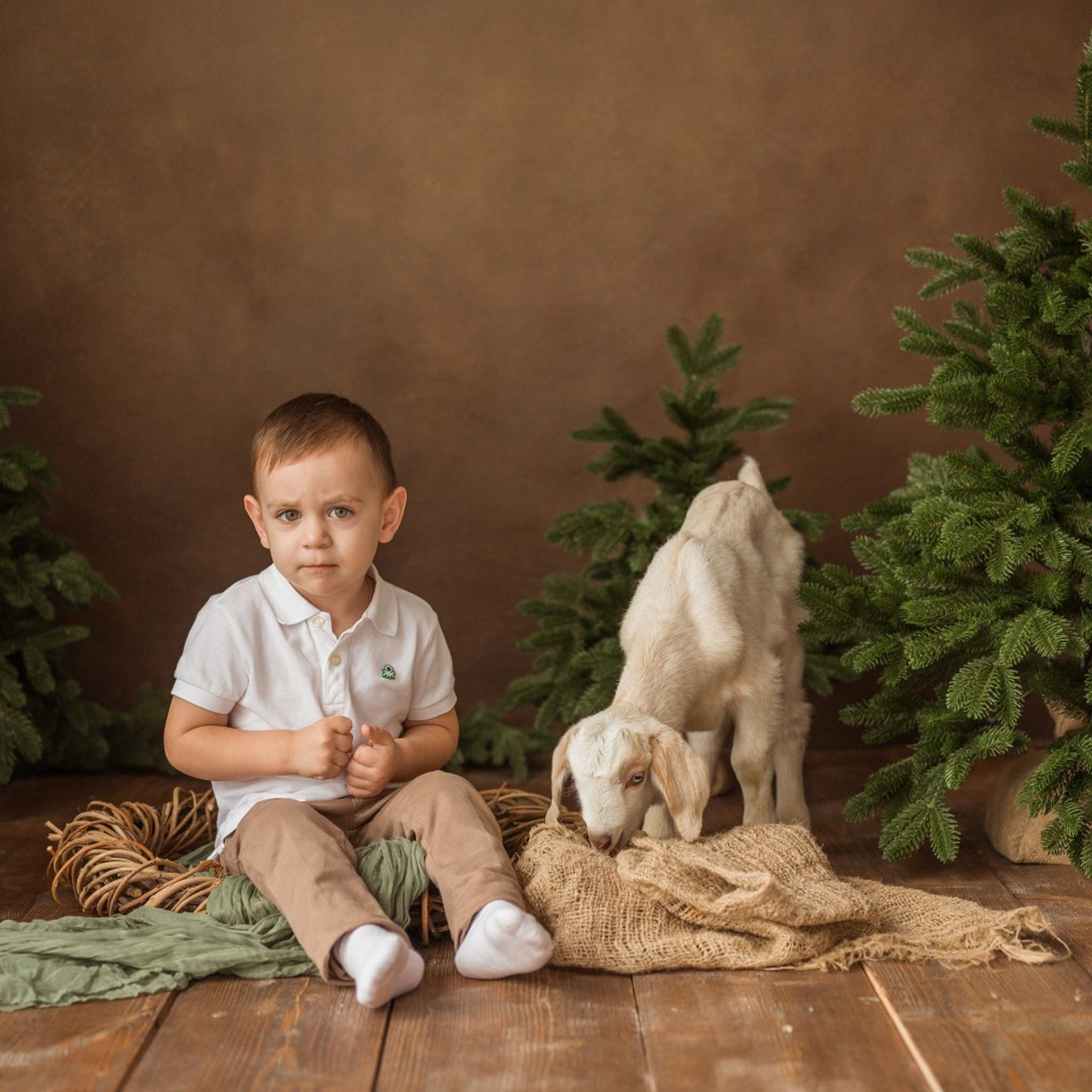 Отзывы. Детский и семейный фотограф Ирина Гладких