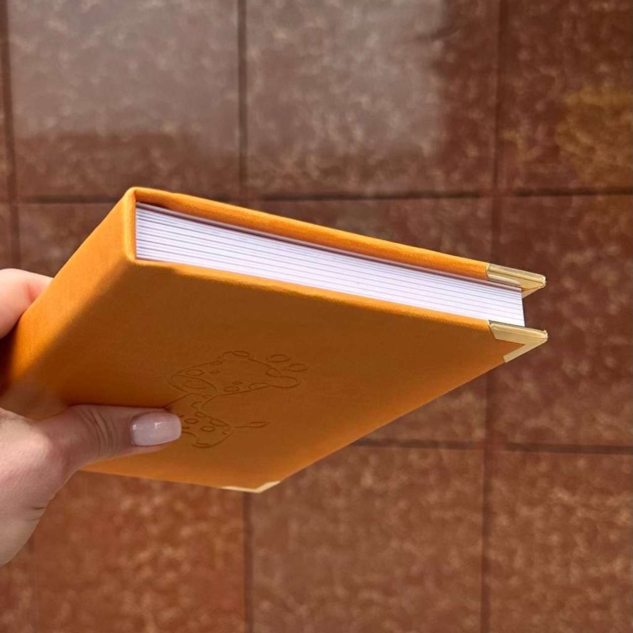 Фотограф детский сад Ростов-на-Дону Уколова Евгения, школьный фотограф мариуполь, выпускные альбомы