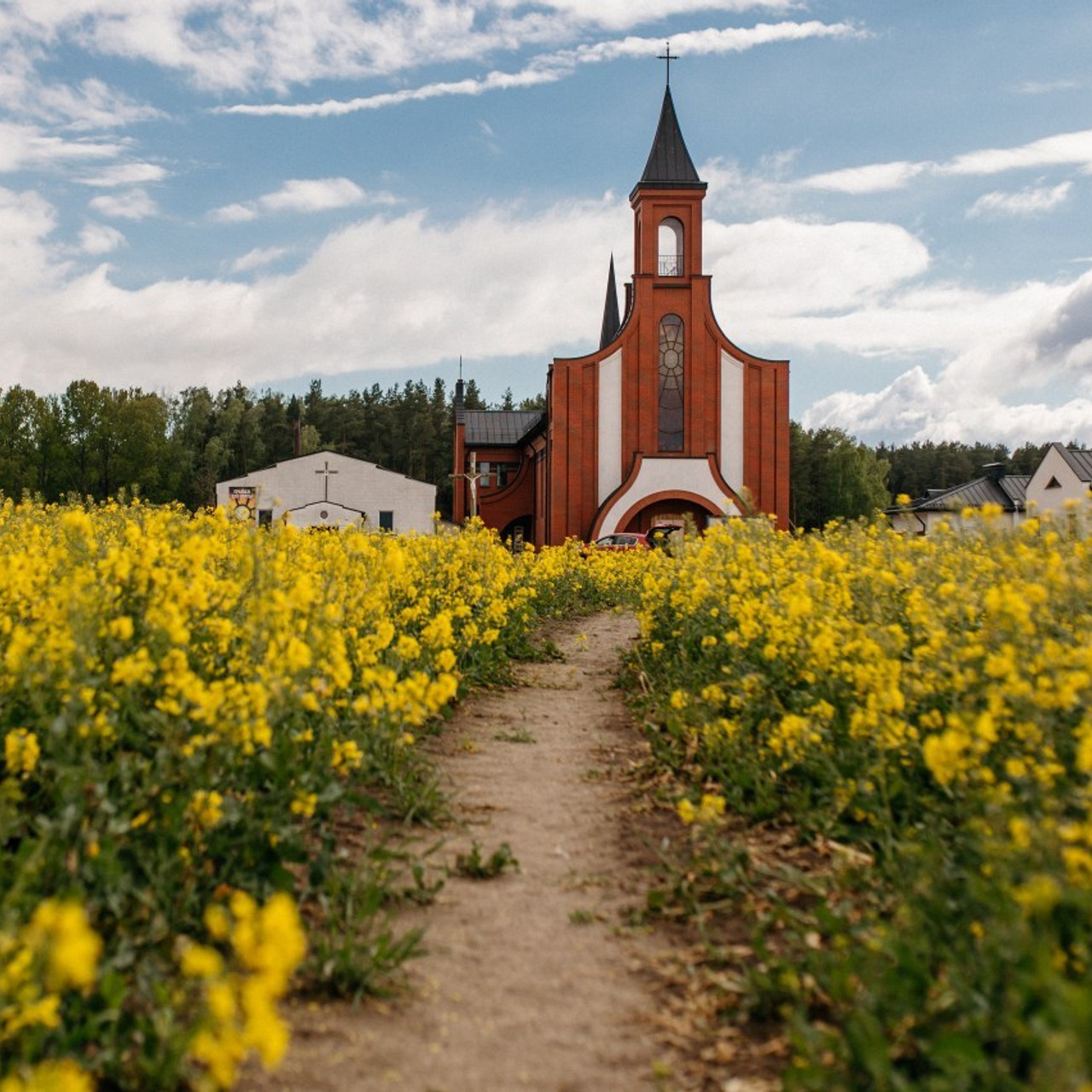 Отзывы. Свадебный фотограф Гродно Минск Destination wedding photographer