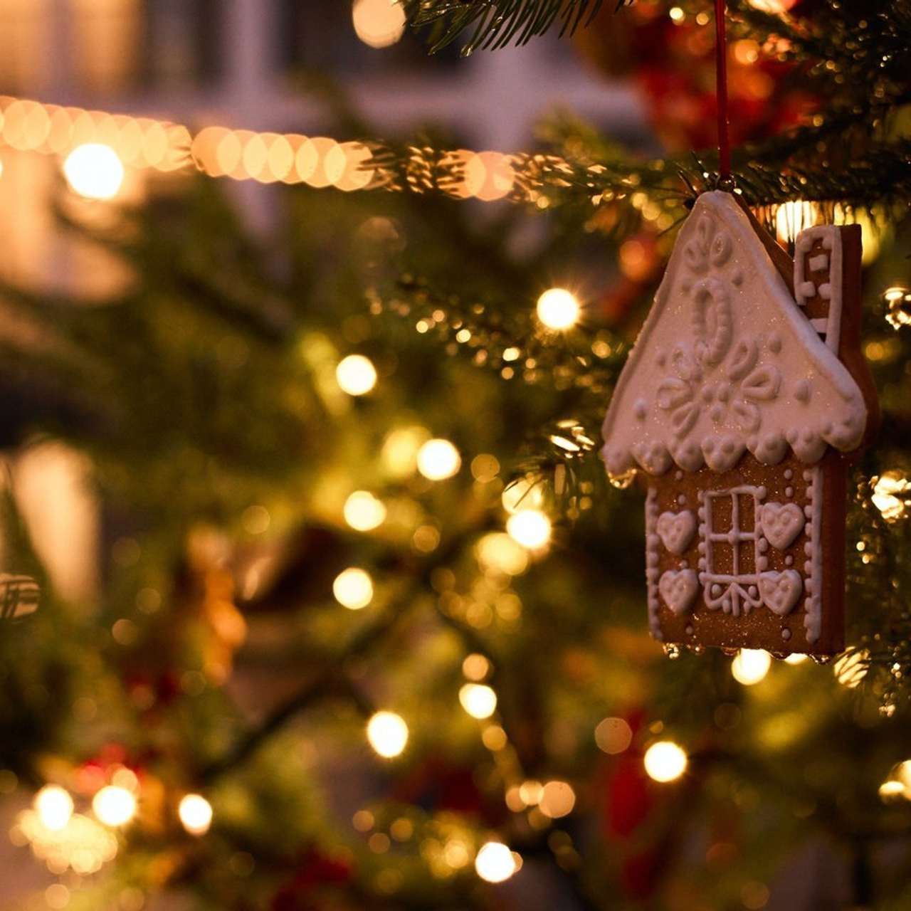 Фотограф в Санкт-Петербурге Анастасия Воробьева