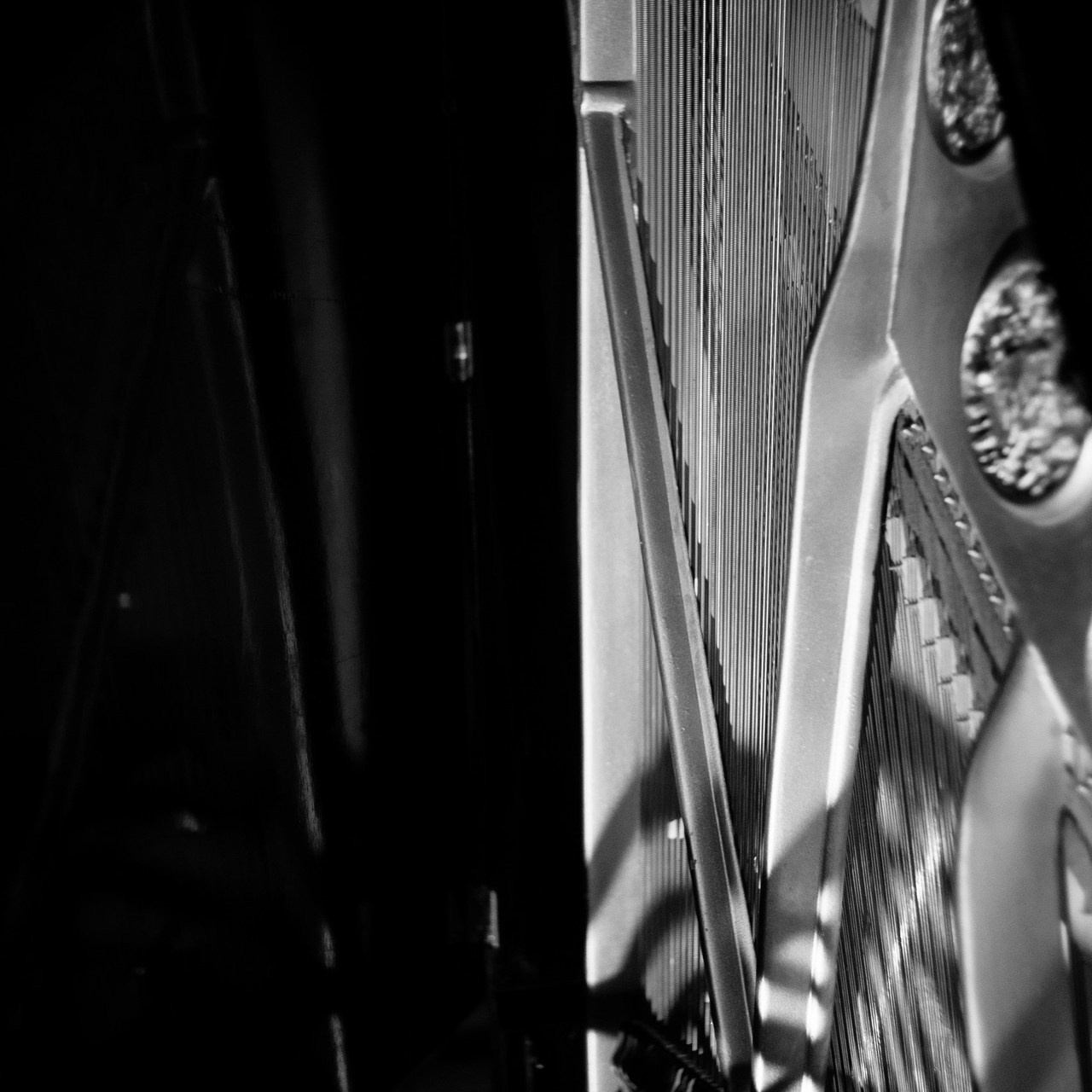 Отзывы. Фотограф в Москве Женя Потах