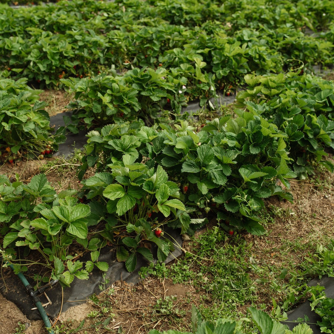 Отзывы. Фотограф Чебоксары