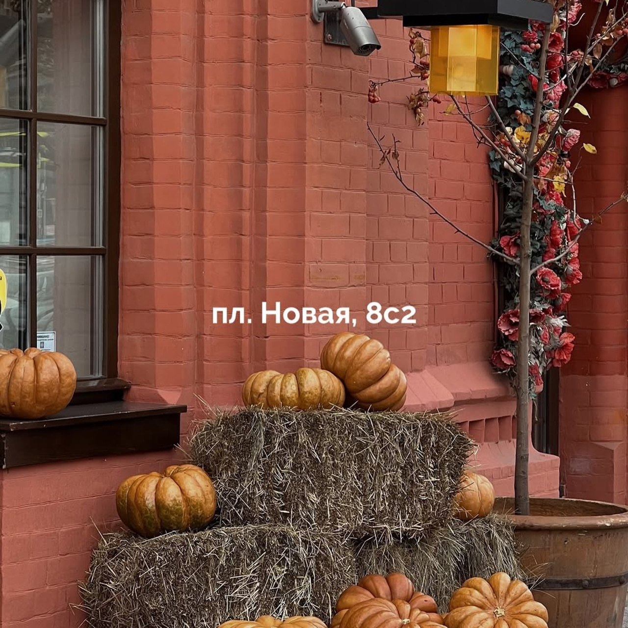 «Где поймать осень?» — чек-лист локаций. Семейный лайфстайл фотограф в Москве Раздобедина Елизавета