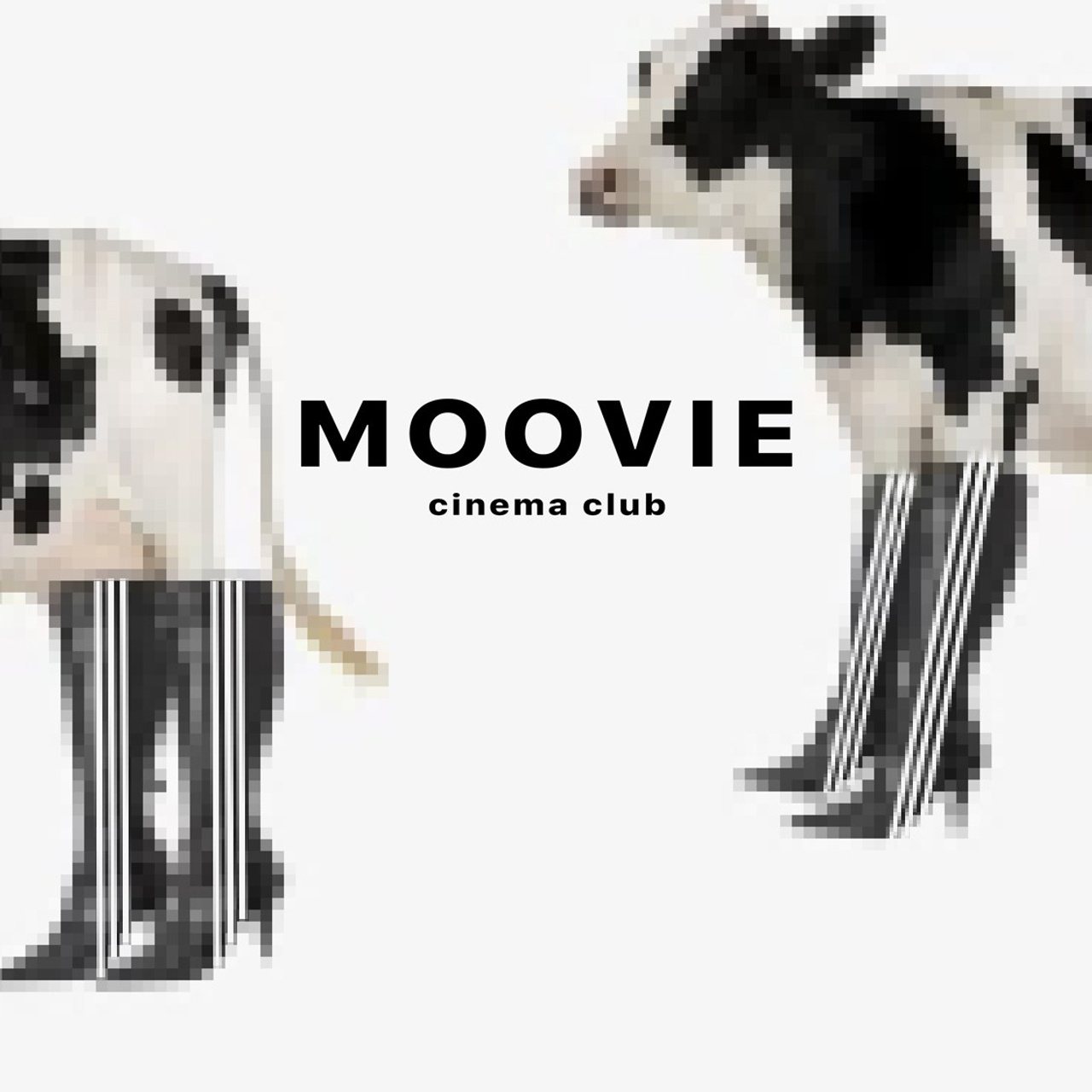 Posters «witches cinema club». Я — Мария, фотограф/фотохудожник в Санкт-Петербурге