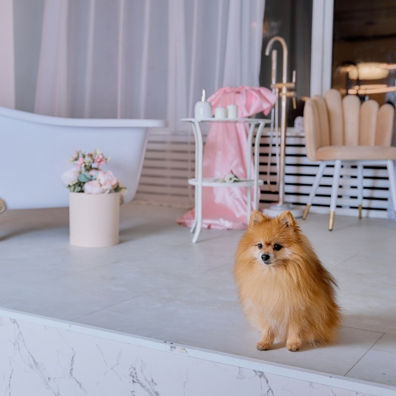 Отзывы. Семейная фотосессия и съёмка в школе СПб Сударикова Мария